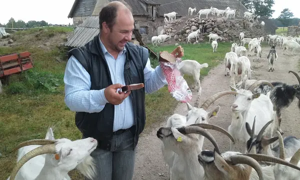 Dainis Erbss - Dāru kazu siers logo