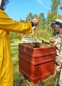 Inese Dimanta - Bišu dravas īre logo